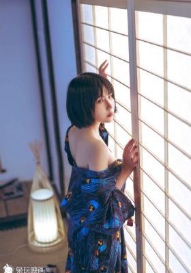 电视剧雪豹免费观看完整版_免费手机在线看片